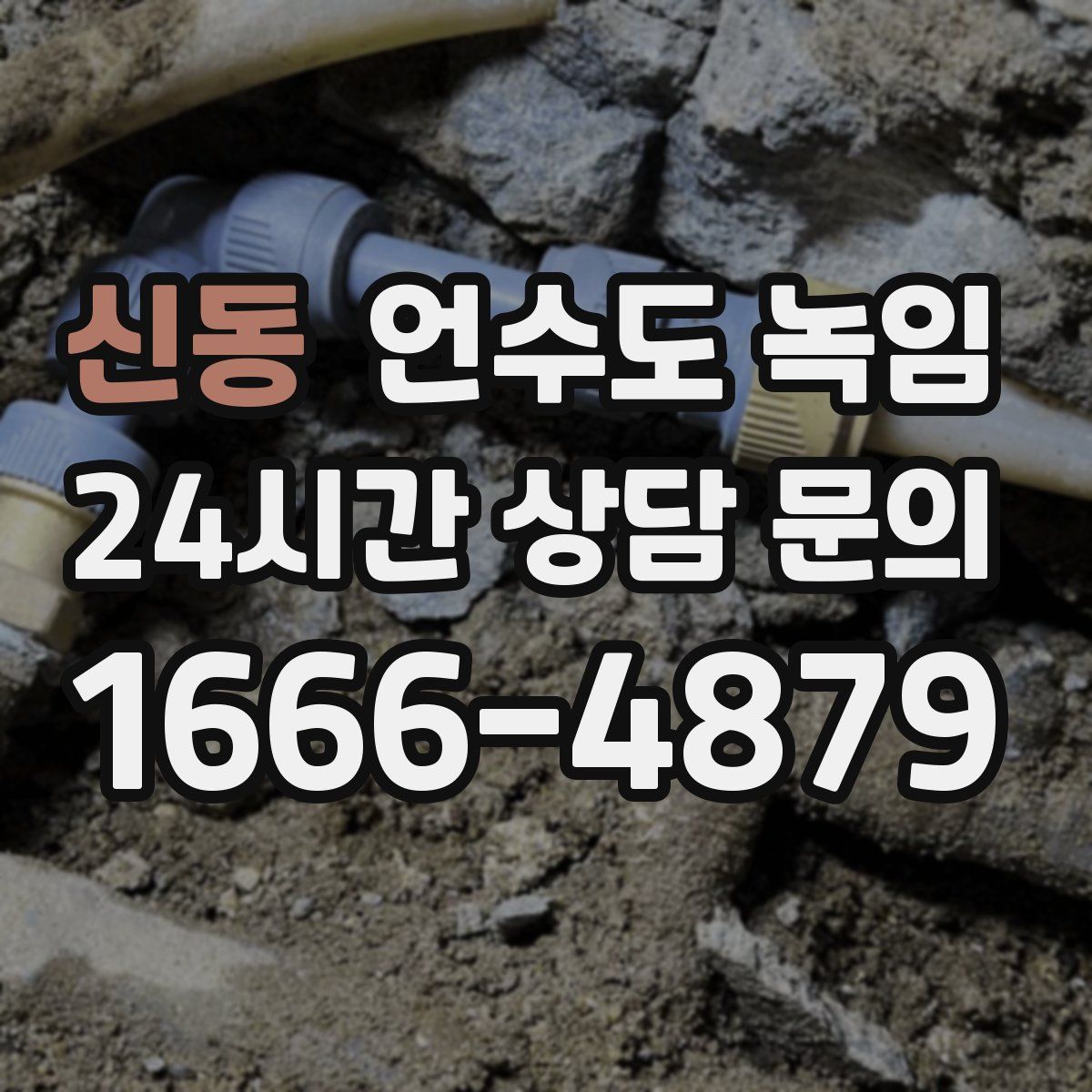 신동 언수도 녹임