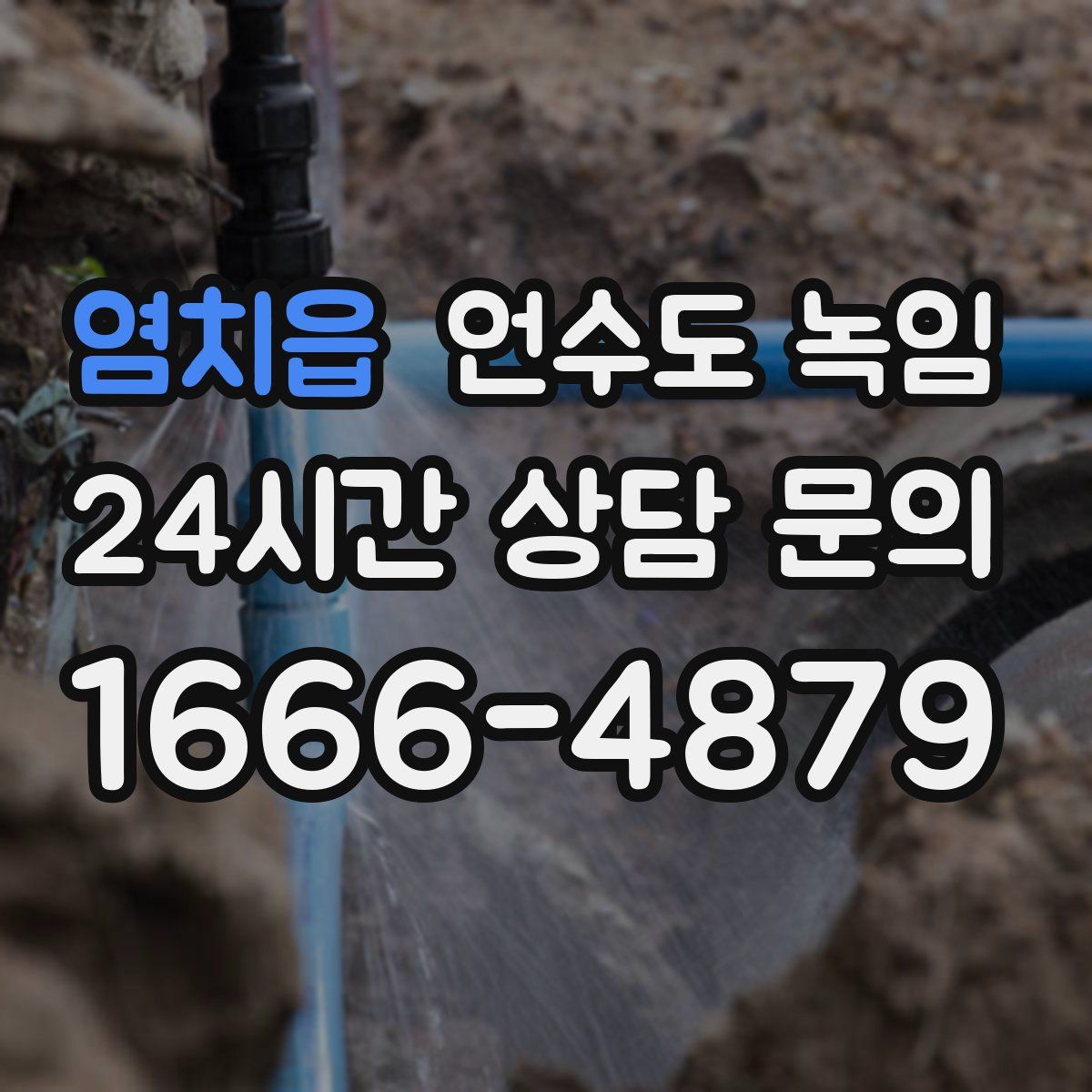 염치읍 언수도 녹임