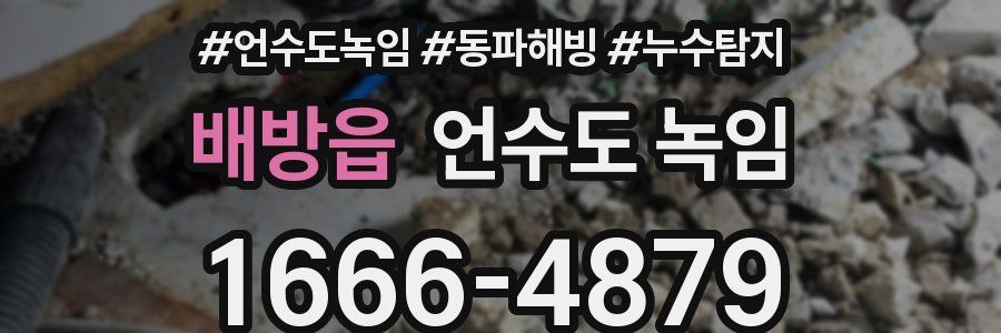 배방읍 언수도 녹임