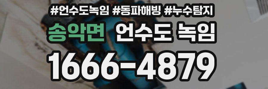 송악면 언수도 녹임