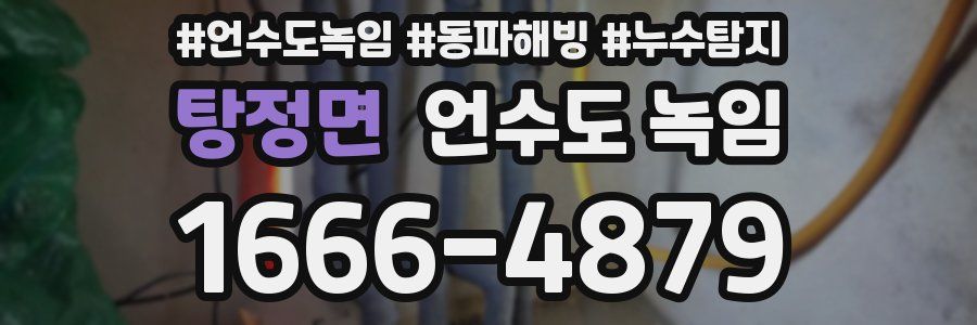 탕정면 언수도 녹임