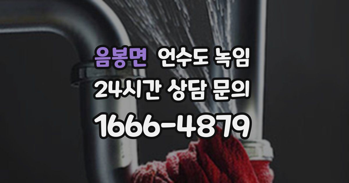 음봉면 언수도 녹임