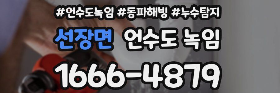 선장면 언수도 녹임