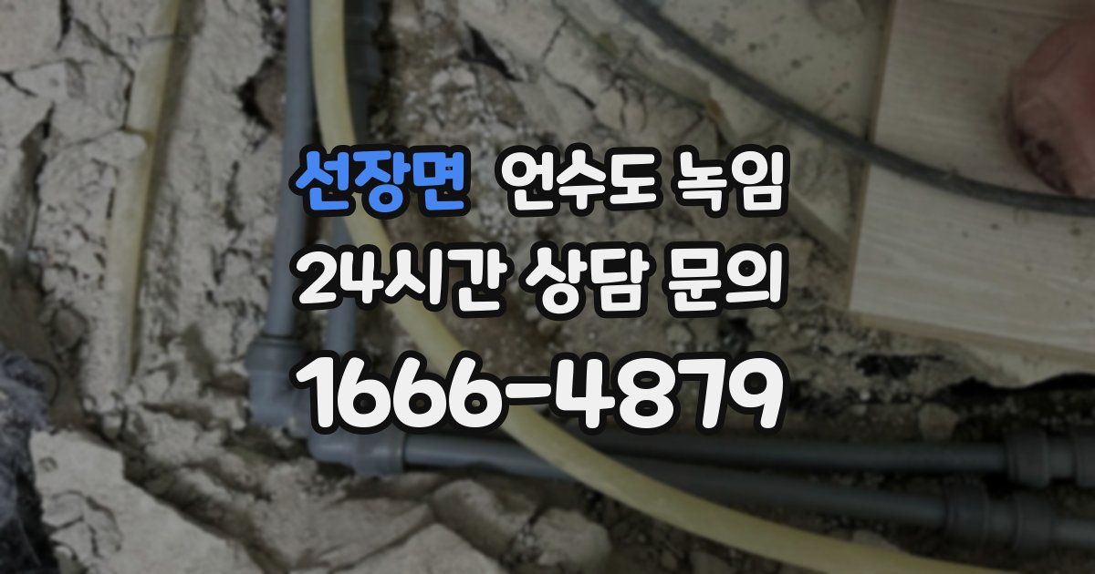 선장면 언수도 녹임