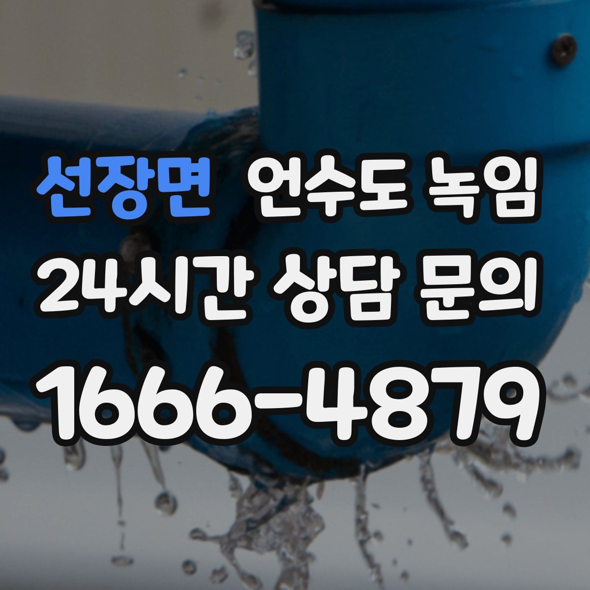 선장면 언수도 녹임