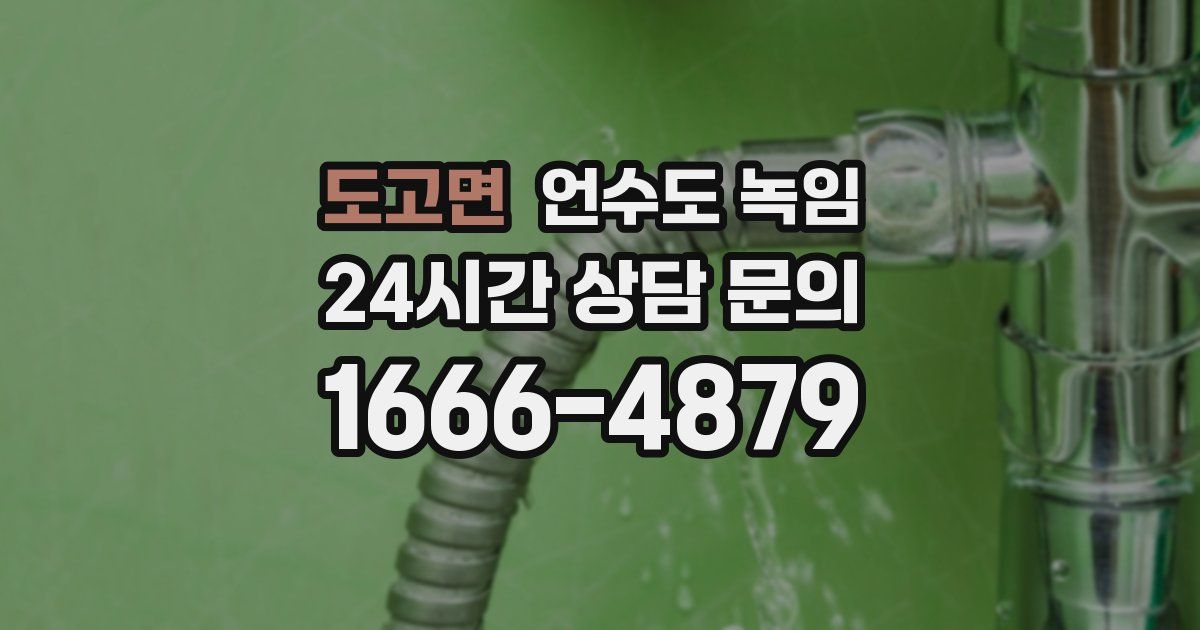 도고면 언수도 녹임