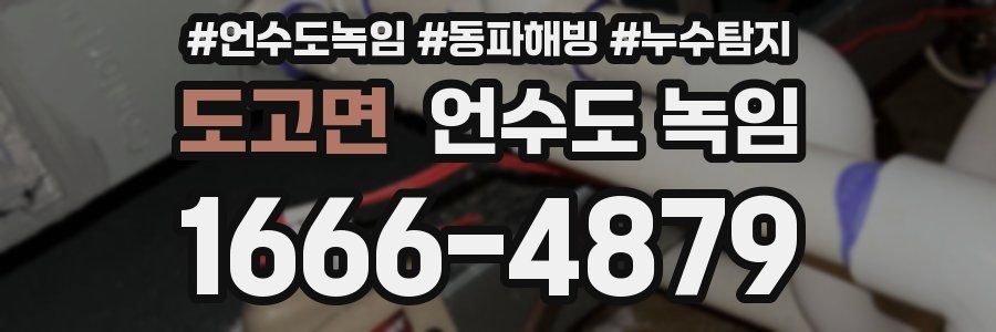 도고면 언수도 녹임