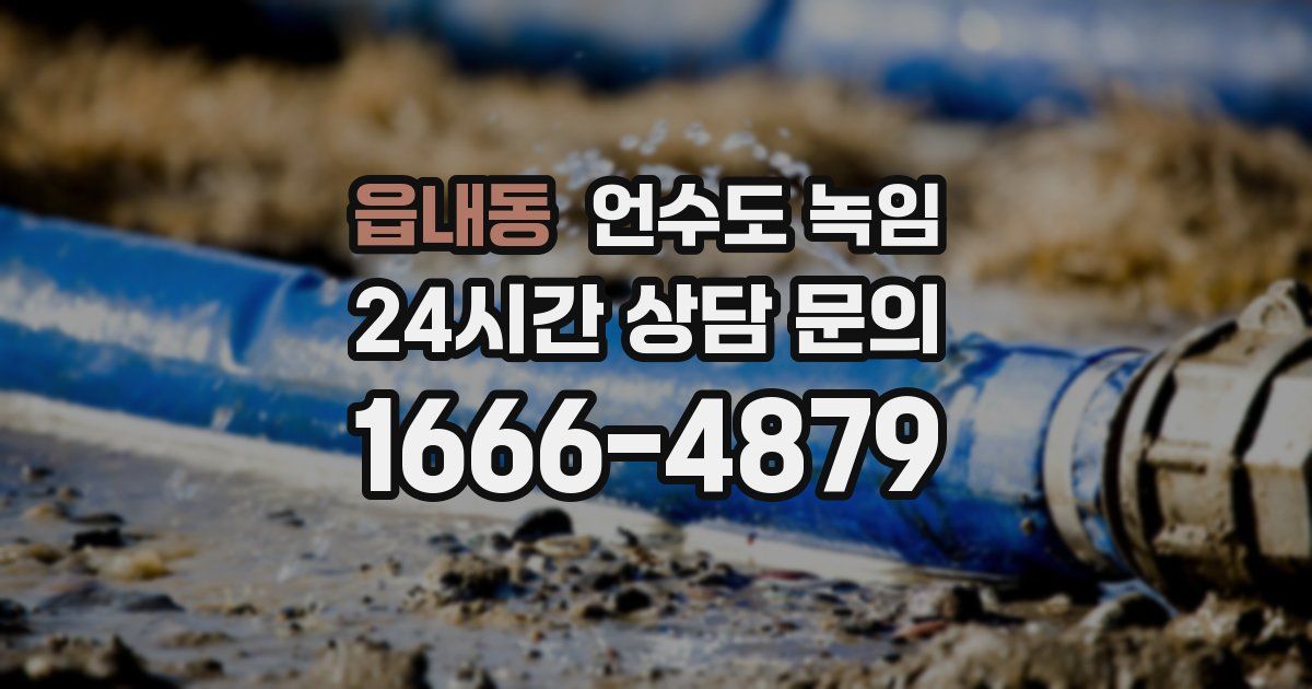 읍내동 언수도 녹임