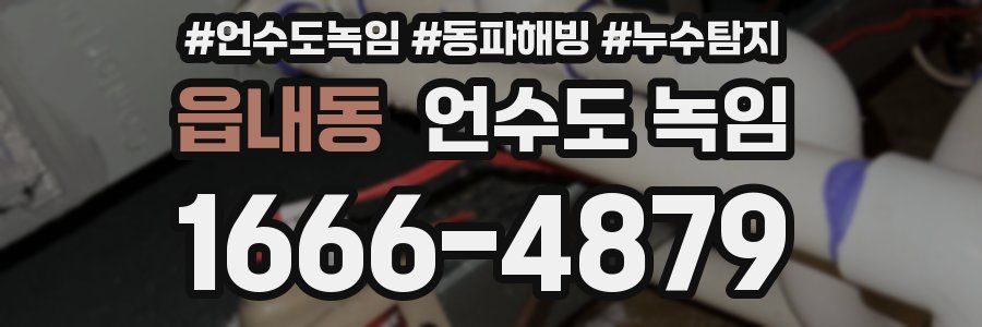 읍내동 언수도 녹임