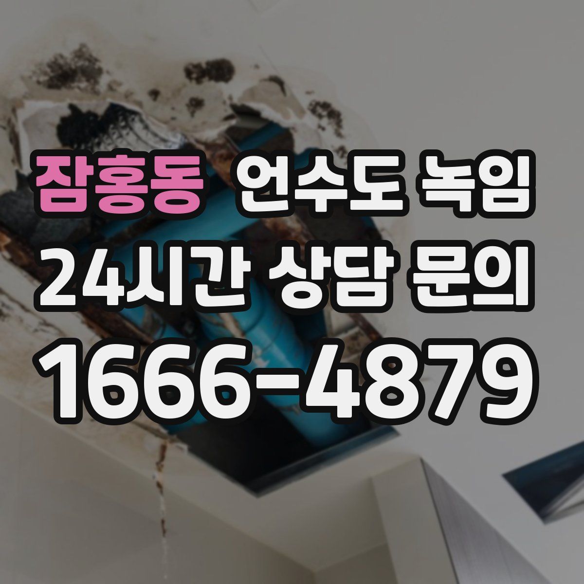 잠홍동 언수도 녹임