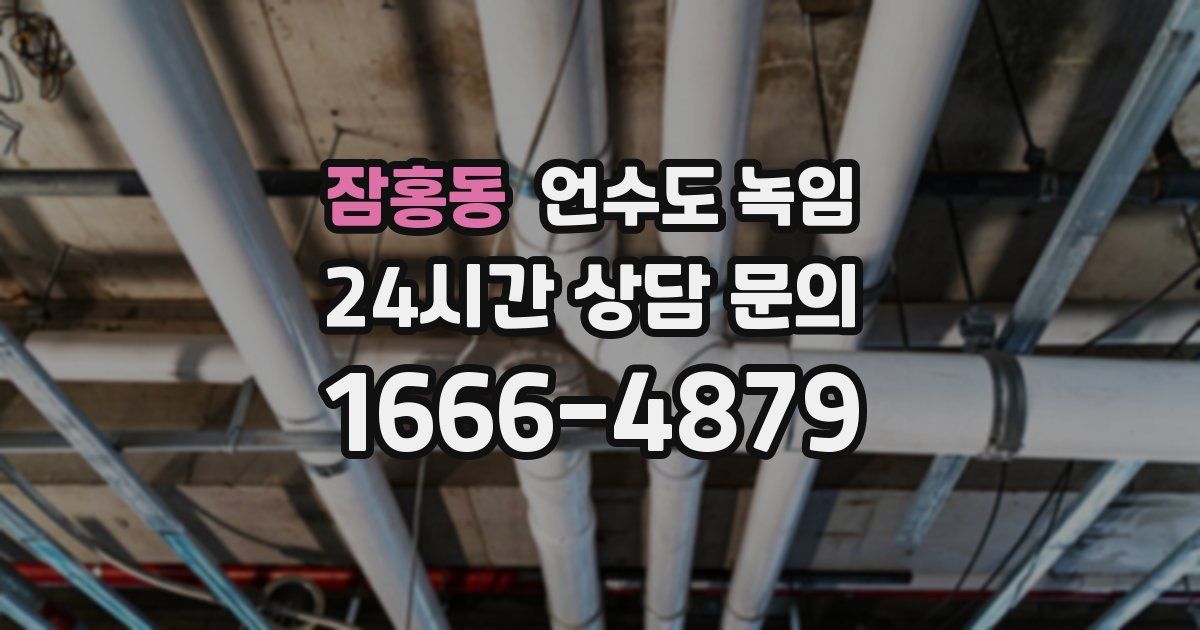 잠홍동 언수도 녹임