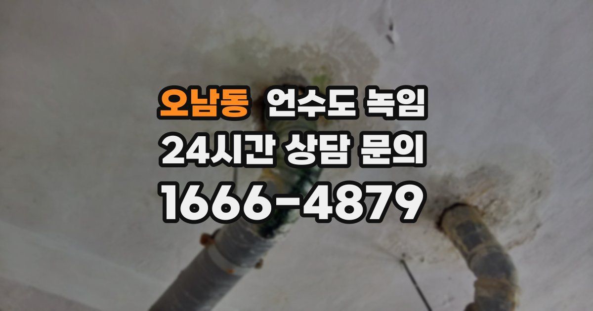 오남동 언수도 녹임