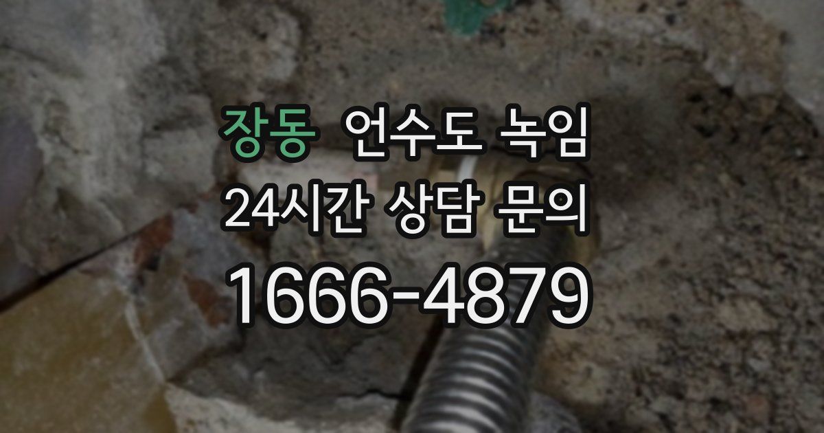장동 언수도 녹임