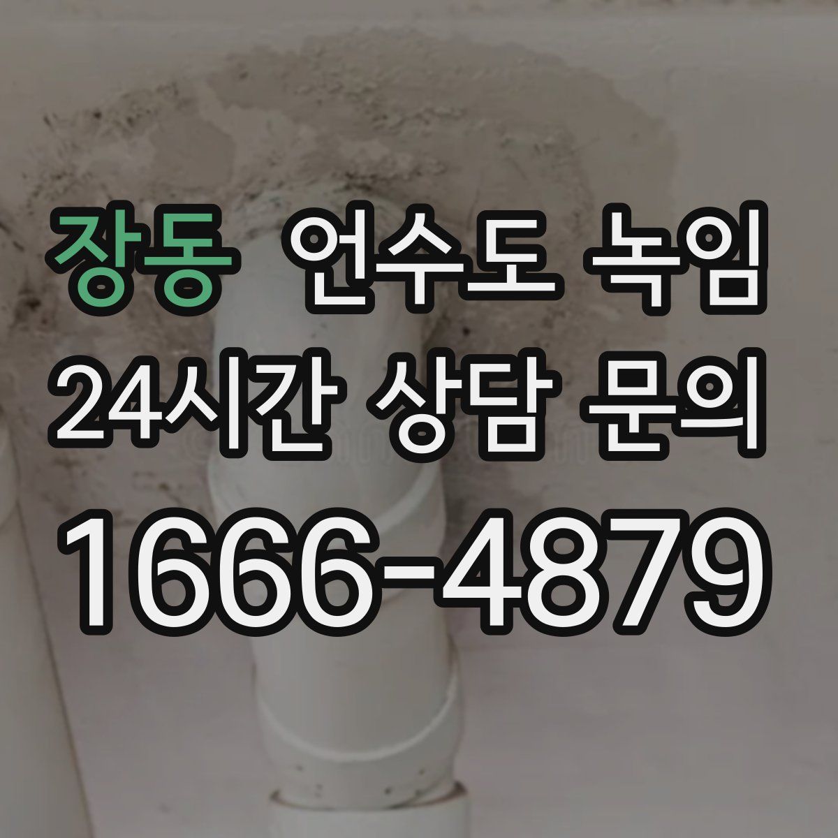 장동 언수도 녹임