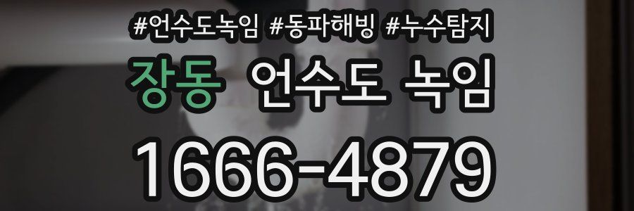 장동 언수도 녹임