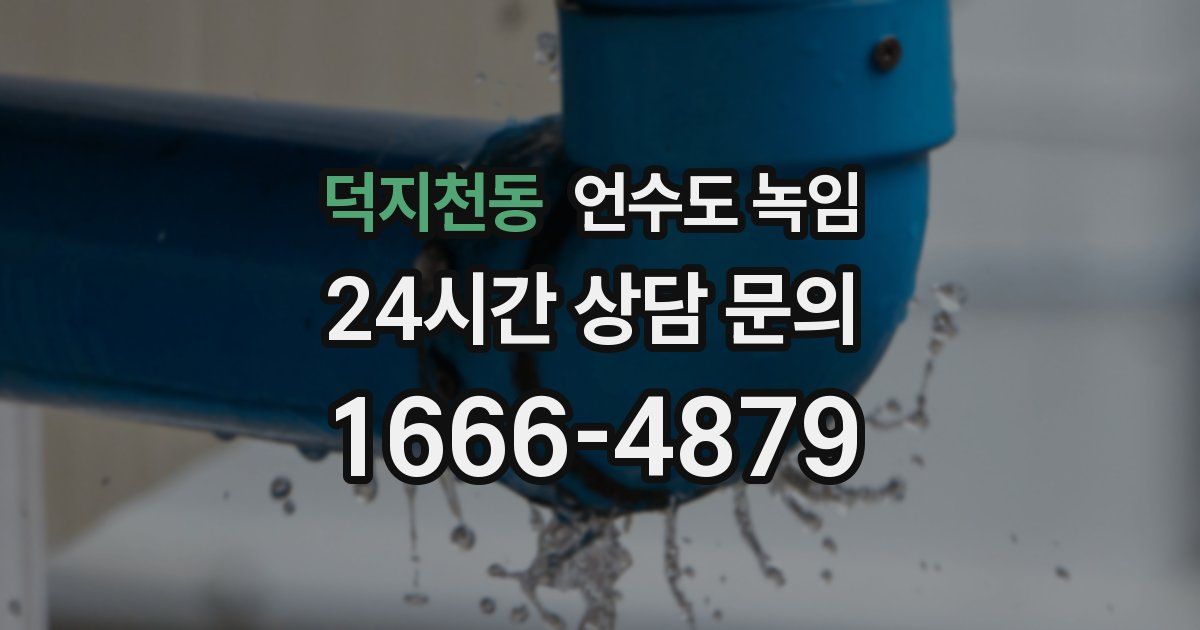 덕지천동 언수도 녹임