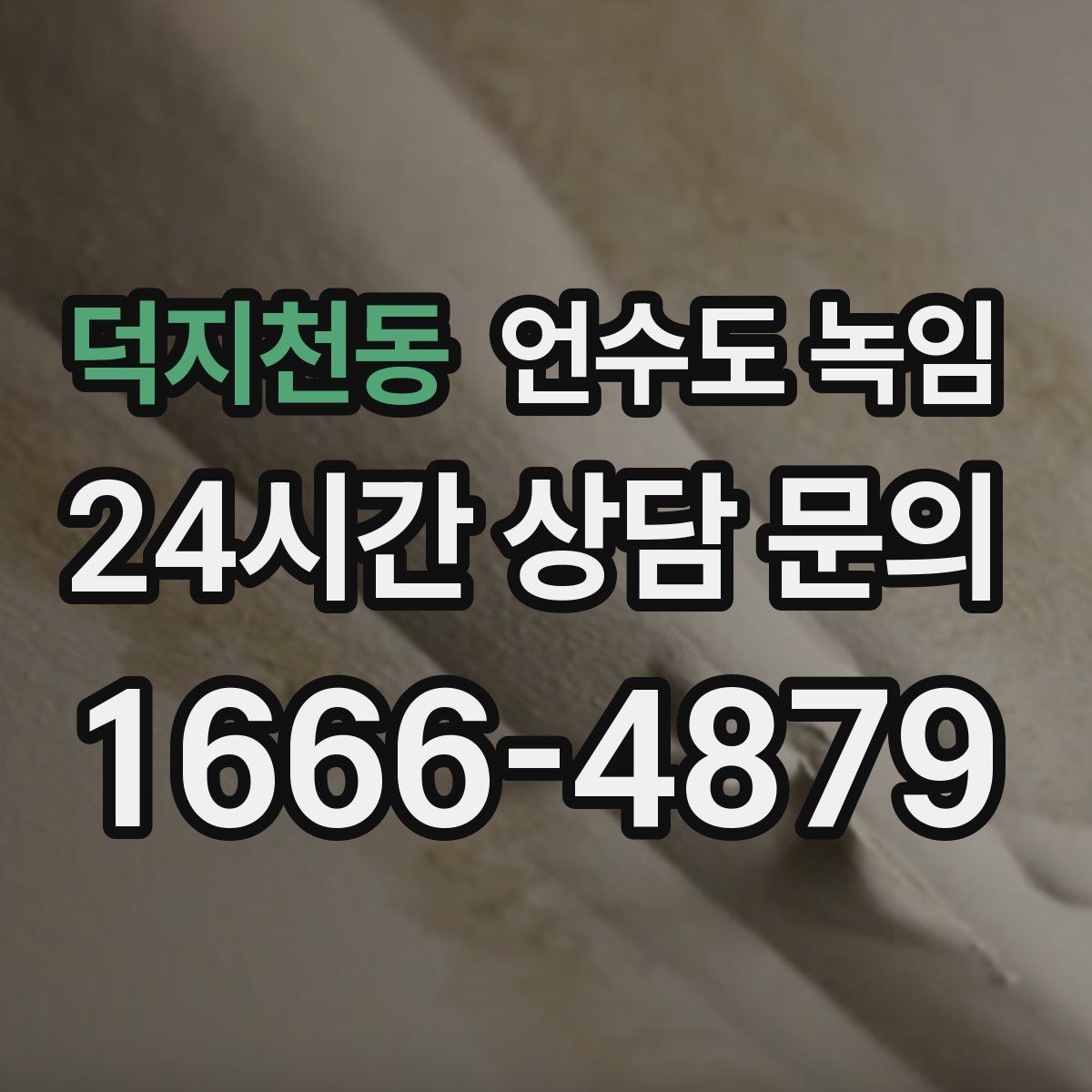 덕지천동 언수도 녹임