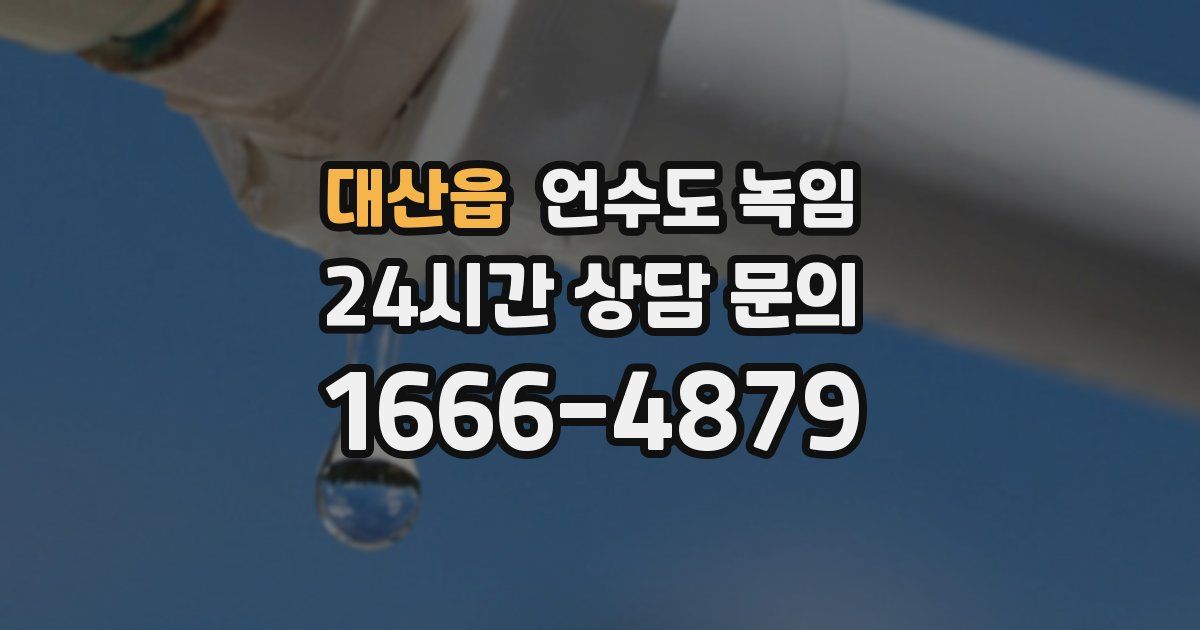 대산읍 언수도 녹임