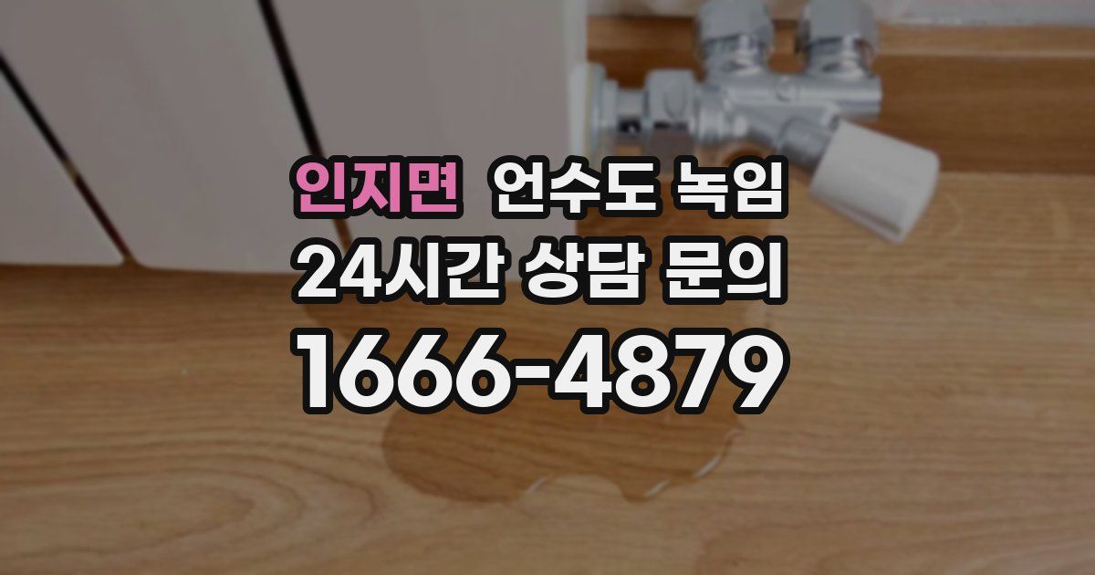 인지면 언수도 녹임