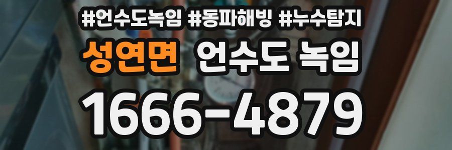 성연면 언수도 녹임