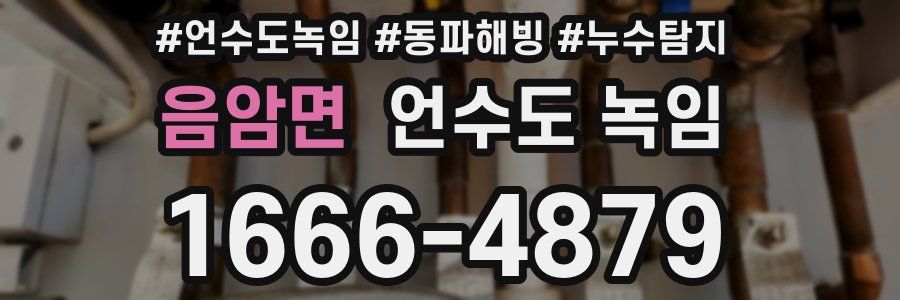 음암면 언수도 녹임