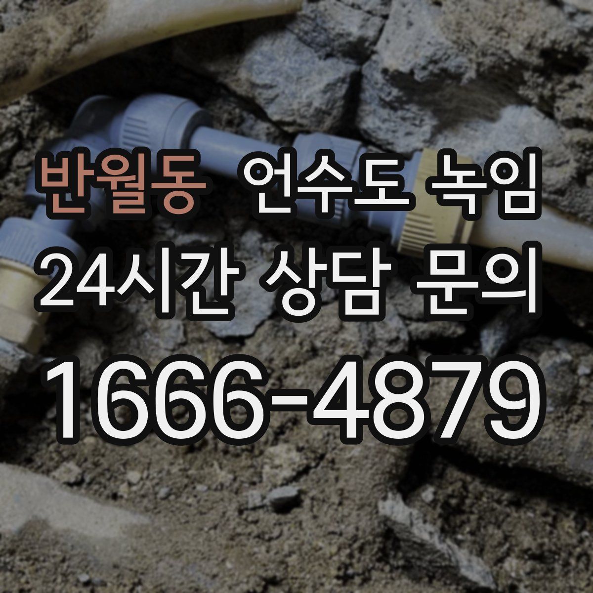 반월동 언수도 녹임