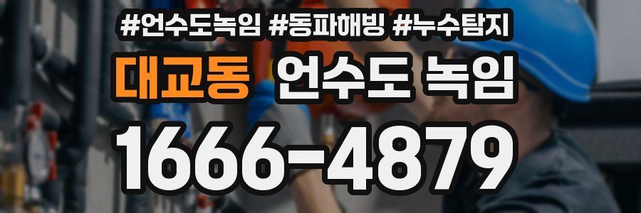 대교동 언수도 녹임