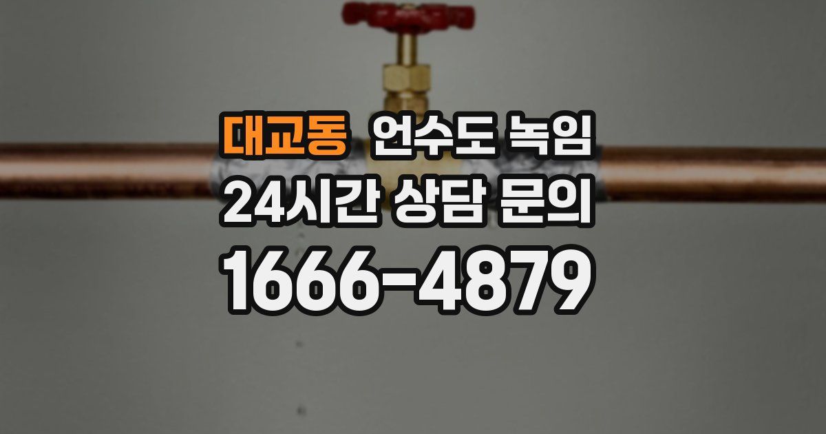 대교동 언수도 녹임