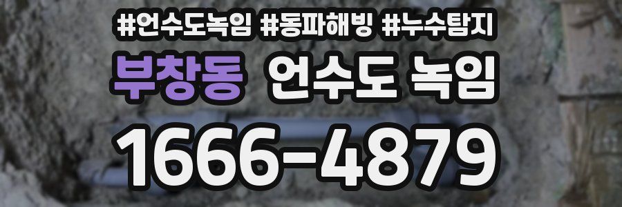 부창동 언수도 녹임