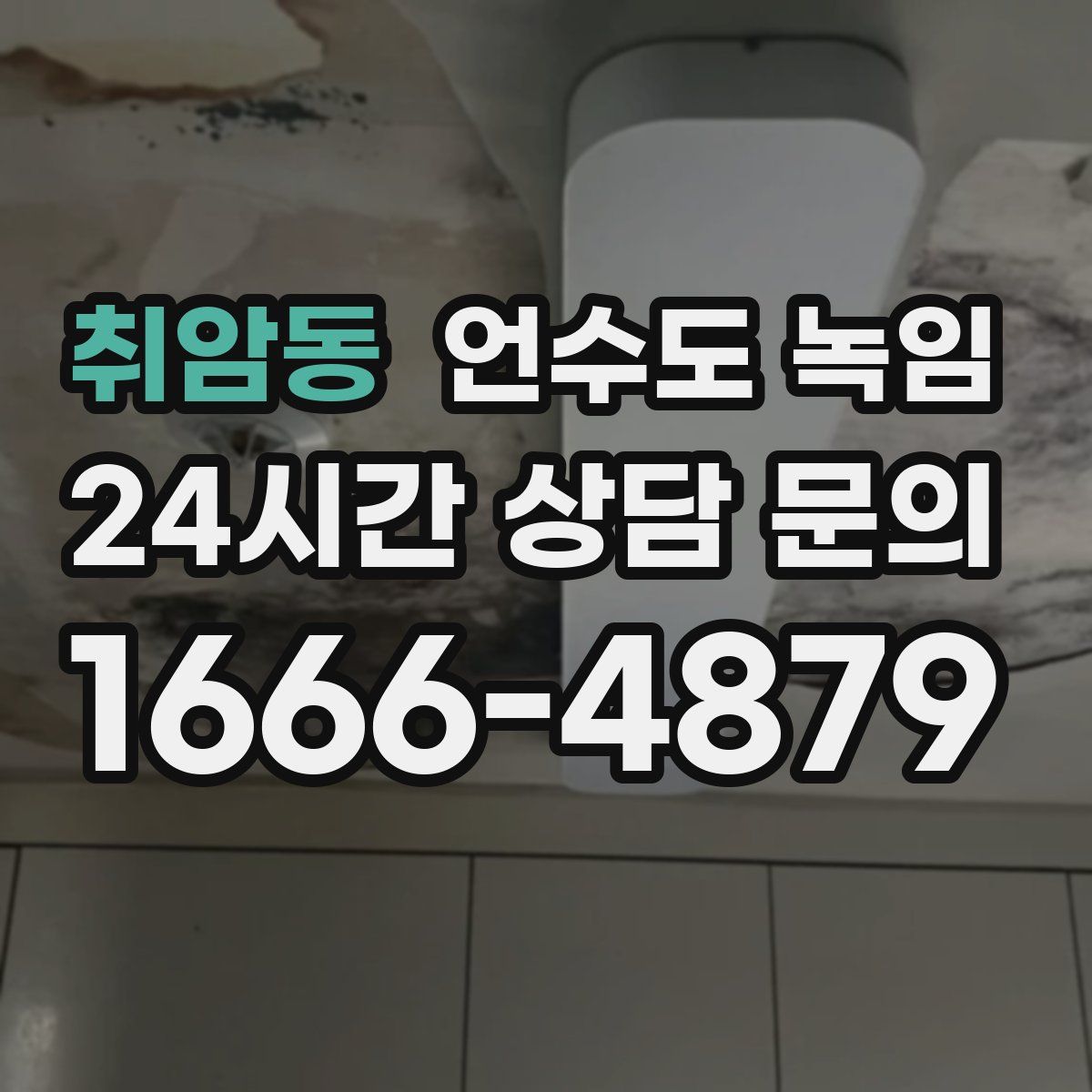 취암동 언수도 녹임