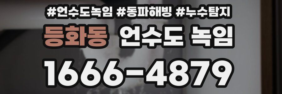 등화동 언수도 녹임