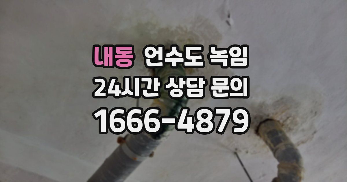 내동 언수도 녹임