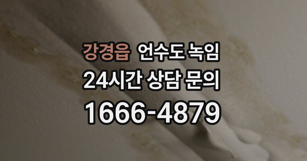 강경읍 언수도 녹임