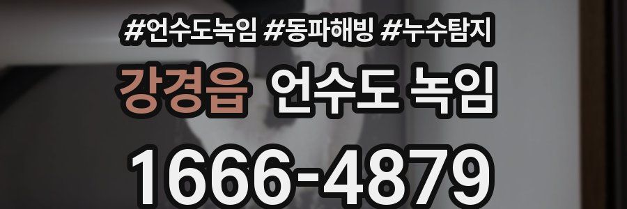 강경읍 언수도 녹임