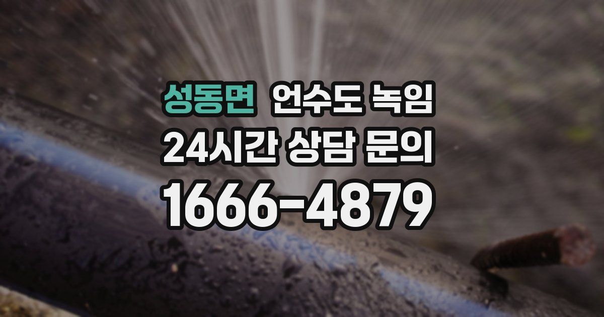 성동면 언수도 녹임