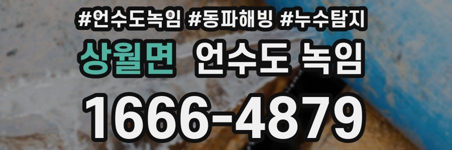 상월면 언수도 녹임