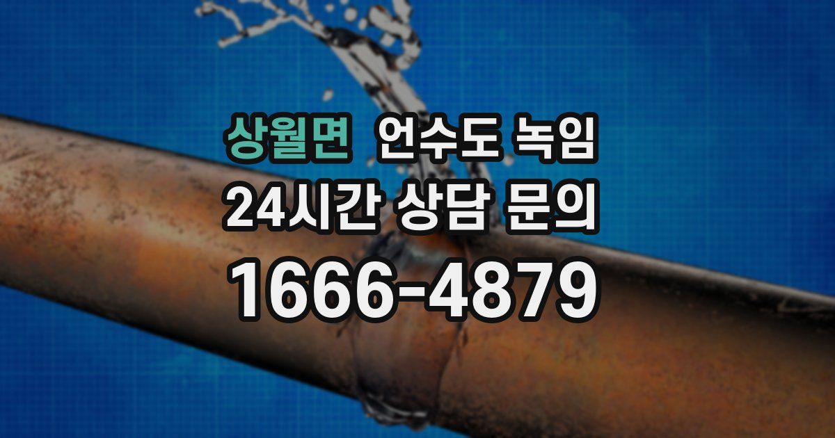 상월면 언수도 녹임