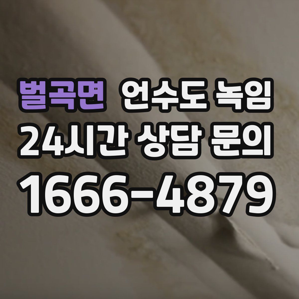 벌곡면 언수도 녹임