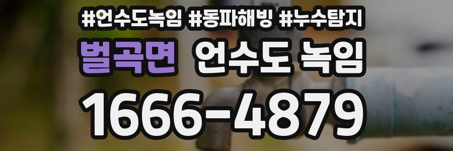 벌곡면 언수도 녹임