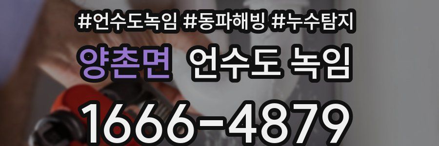 양촌면 언수도 녹임