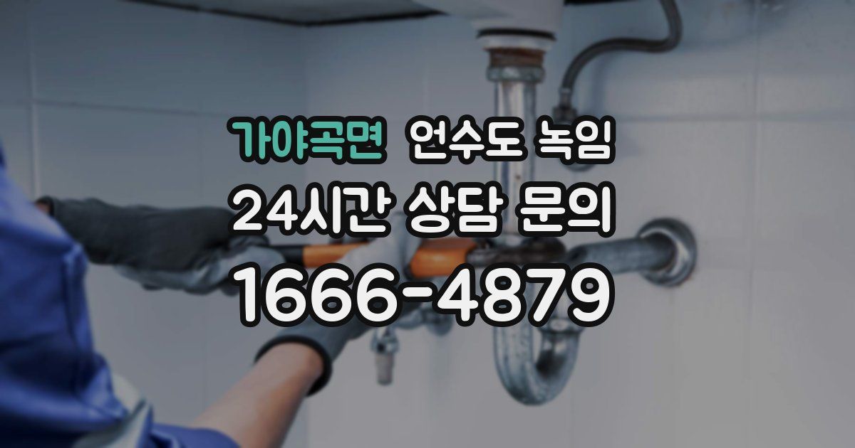 가야곡면 언수도 녹임