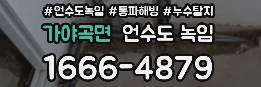 가야곡면 언수도 녹임