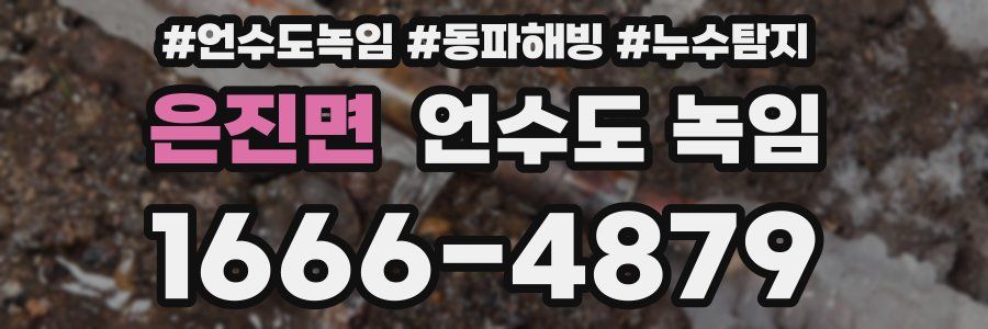 은진면 언수도 녹임