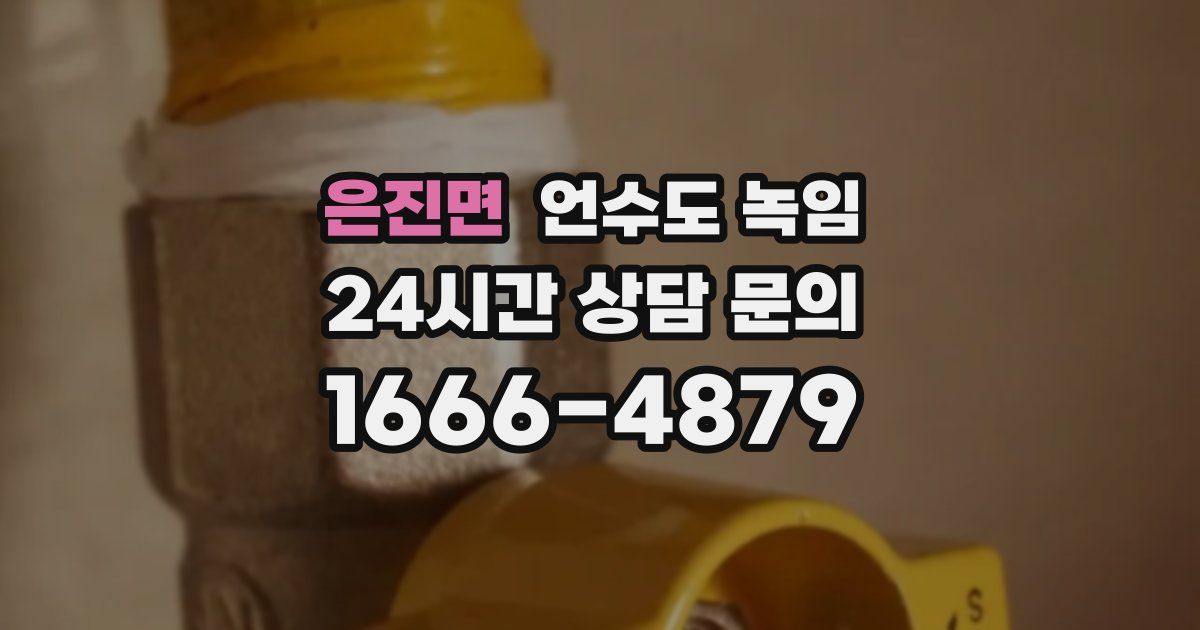 은진면 언수도 녹임