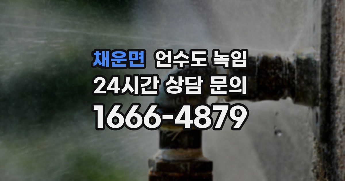 채운면 언수도 녹임