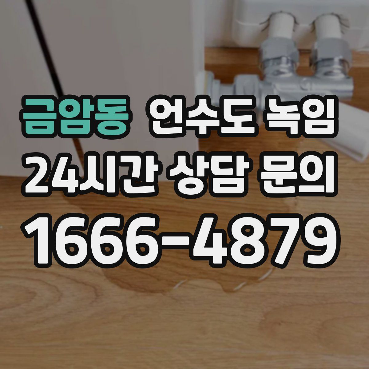 금암동 언수도 녹임