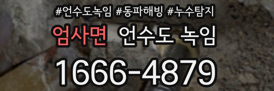 엄사면 언수도 녹임