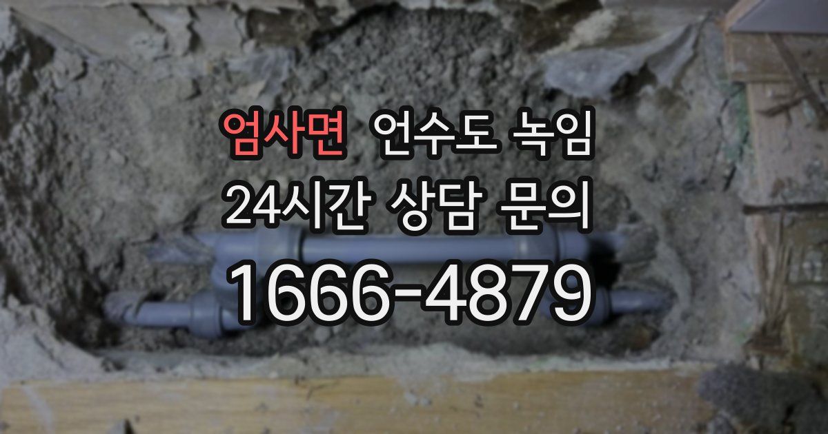 엄사면 언수도 녹임