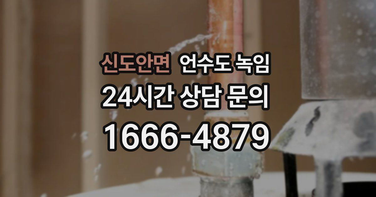 신도안면 언수도 녹임