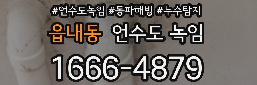 읍내동 언수도 녹임